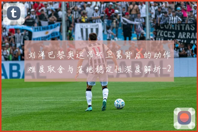 刘洋巴黎奥运吊环卫冕背后的动作难度取舍与落地稳定性深度解析