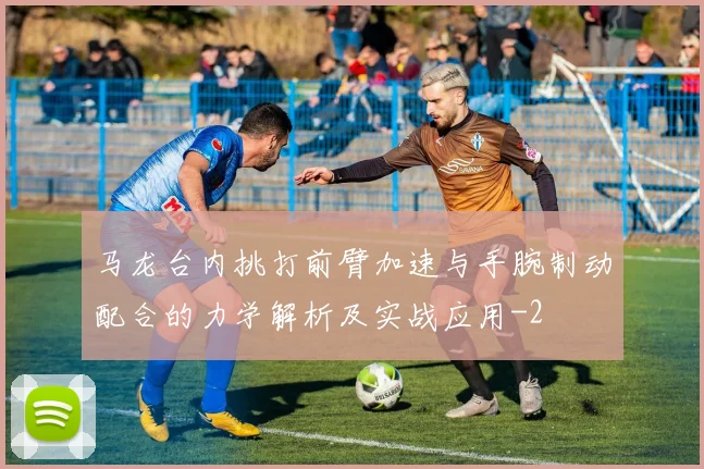 马龙台内挑打前臂加速与手腕制动配合的力学解析及实战应用
