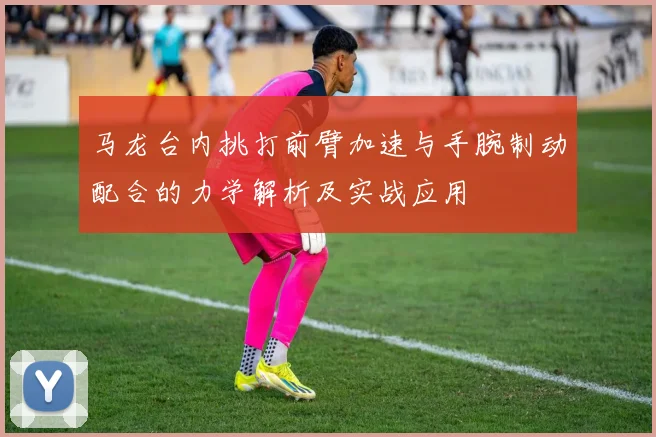 马龙台内挑打前臂加速与手腕制动配合的力学解析及实战应用